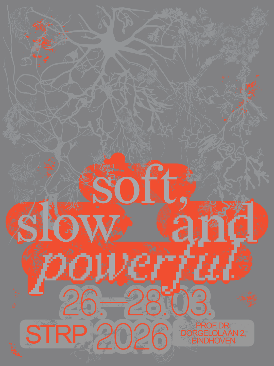 STRP SSAP March 2026 Social Media Post WEB